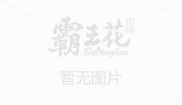 省長(zhǎng)佟星視察霸王花集團(tuán)